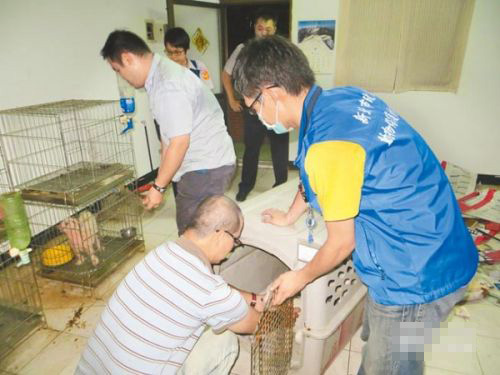 為了讓消費者買狗 寵物被割聲帶僅剩繁殖