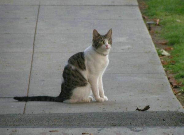 336.jpg