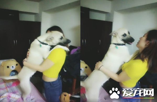 汪汪超愛媽咪又親又抱 爸爸瞬間變邊緣人