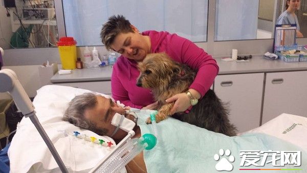 遛狗時心臟病發作 帶愛犬去看望抽搐有反應