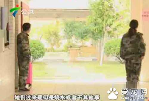 幾名教官在女生宿舍樓下合伙殺害狗烤食 遭到社會的譴責