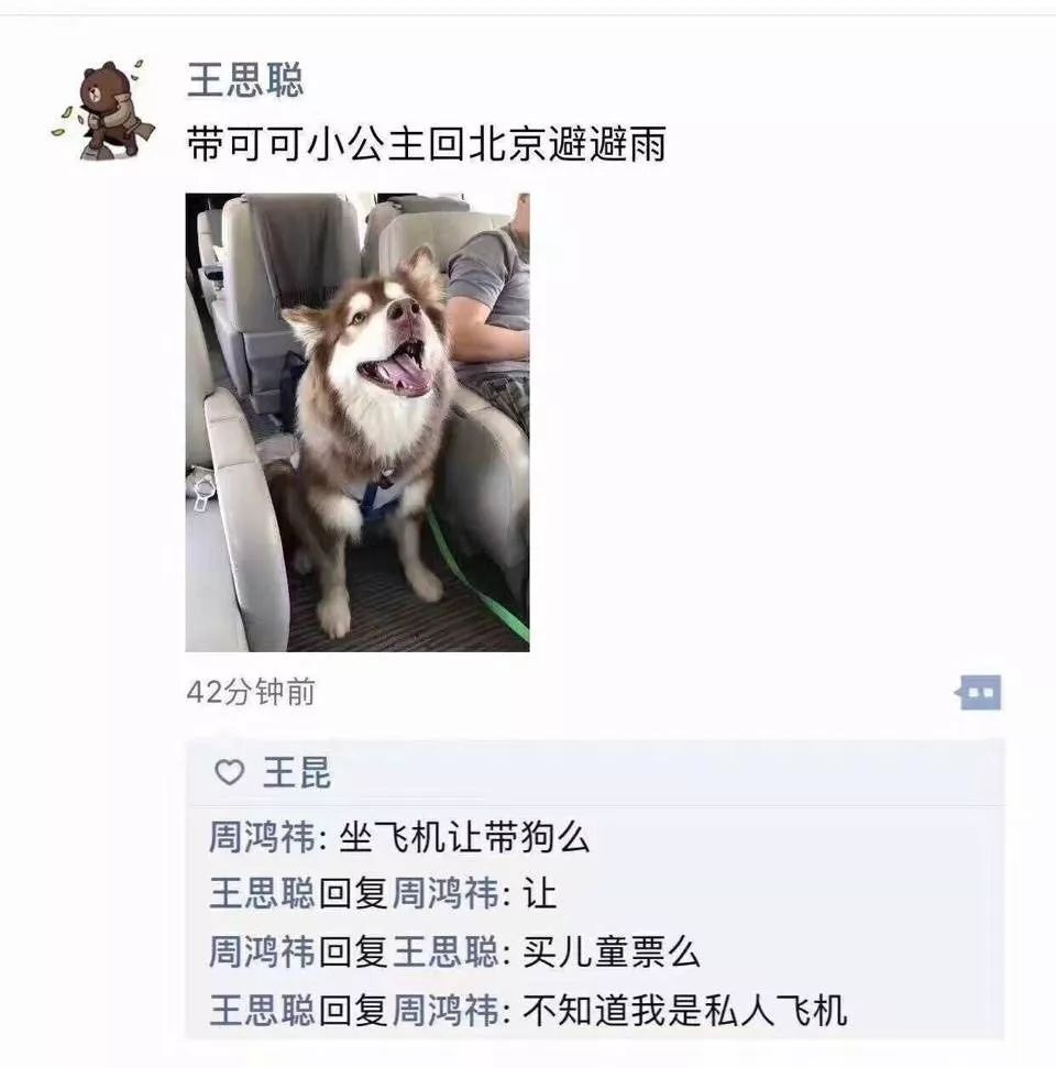 王思聰動物園再添新丁 最新入駐的貓咪一夜暴富