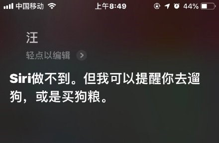 讓Siri叫貓咪？怎么會有這樣的操作 真的是奇葩網友多