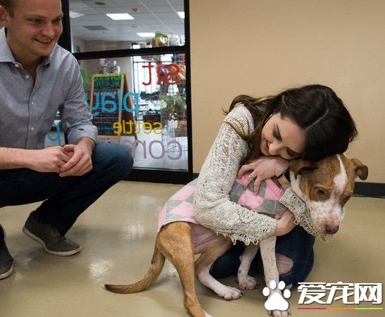 收容所狗狗當送戒汪求婚成功 變幸福的一家四口