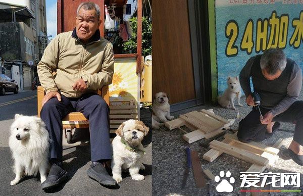 滿嘴說討厭狗的爸爸 如今卻是最愛狗狗的