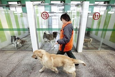手機下單能選擇附近靠譜的寵物寄養家庭