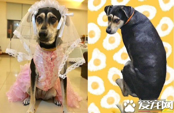 米克斯在阿婆家住半年 從少女變成了大嬸