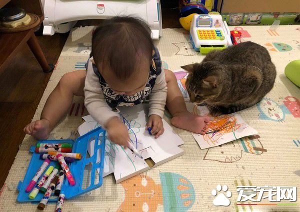 吸貓運動請從小做起 小小年紀就有專業貓奴氣質