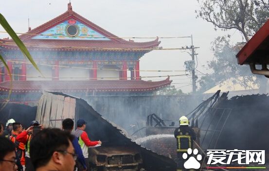 太保沙發倉庫失火 忠狗火場找主人送命