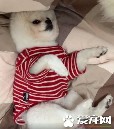 美喵素顏類似畫皮經典經典卸妝畫面 引64萬網友熱議