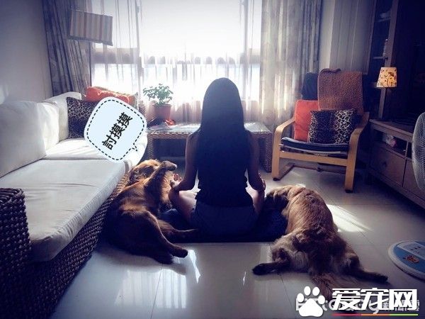 貼心阿金是馬麻的小棉襖 每天早上起來幫忙拆發圈