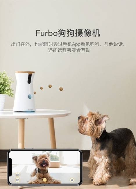 這種電子產品可以讓你和寵物建立更親密的關系 真是太神奇了