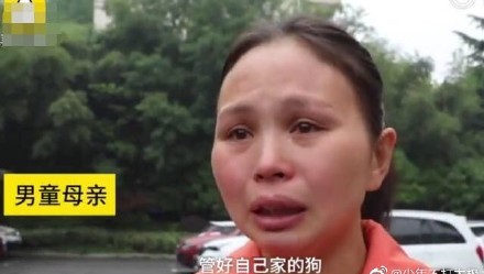 6歲男童被狗咬身亡獲賠78萬 卻遭被告人不服上訴