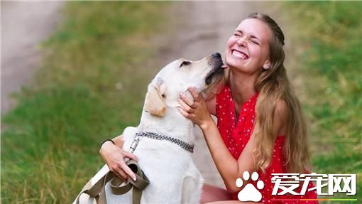 出門前和愛犬吻別 女子遭咬險毀容