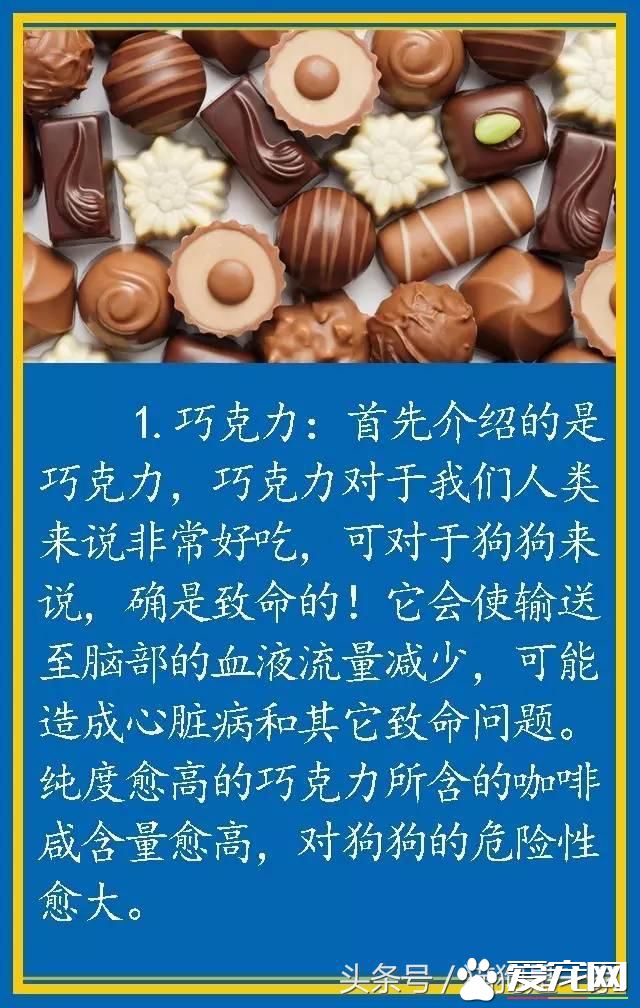 <a href=/ target=_blank class=infotextkey>寵物</a>狗的飲食禁忌