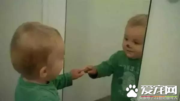 狗是否知道自己是狗？