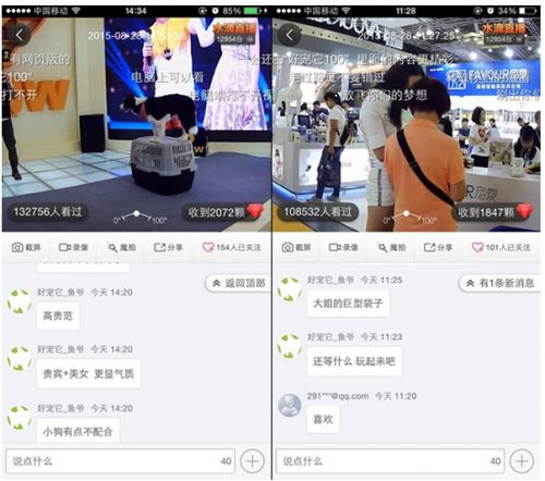 上海亞寵展各種罕見名貴寵物集體現身