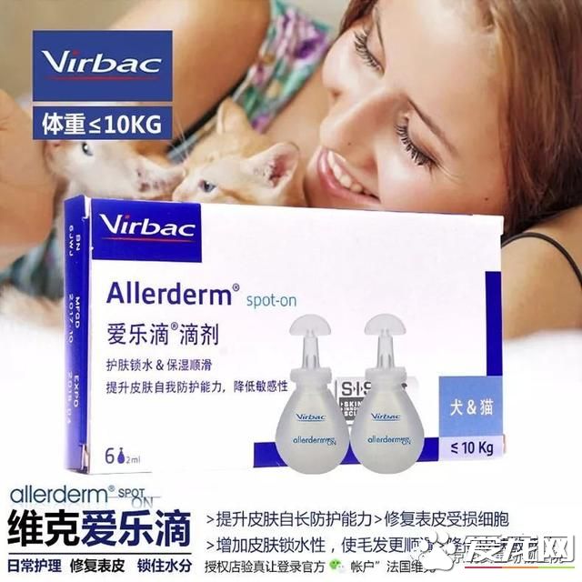 寵物換毛季，我該怎么辦？
