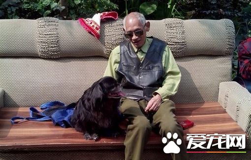 愛犬年邁癱瘓 8旬老翁不離不棄每天背它一起散步