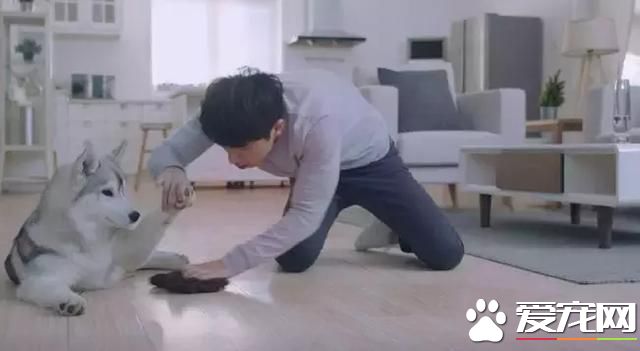 如果你的狗狗也是“佛系狗狗”....