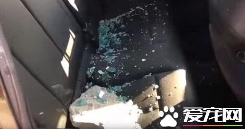 白發路人甲怒砸寶馬 只是因為救出被困小狗