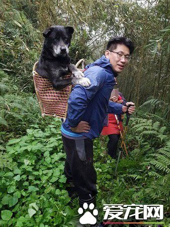 超甜蜜的負擔! 把拔背13公斤的愛犬下山