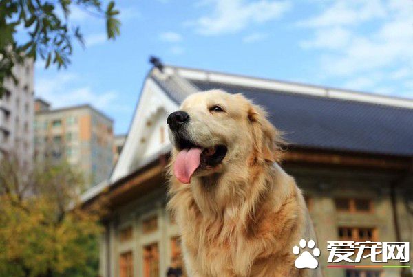 妹妹真的回來了! 阿金癌癥逝去變成女嬰回來
