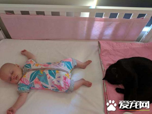 監視器里拍到史上最萌畫面 黑貓時刻陪伴妹妹