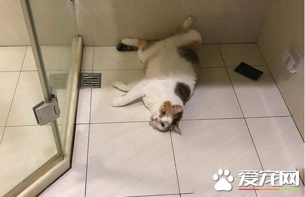 當太監遇上皇上！貼壁倒退逃跑的戰斗超可愛