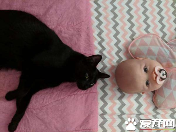 監視器里拍到史上最萌畫面 黑貓時刻陪伴妹妹