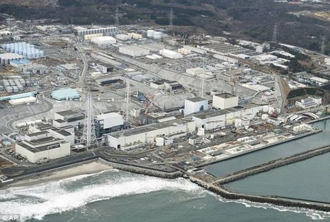 日本福島核災后現畸形動物 體內放射物超標300倍