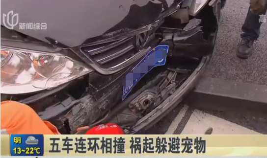 狗狗亂穿馬路私家車躲讓不及 致5車相撞