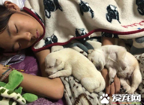 看到這刻媽退出這溫馨世界 自己完全成了局外人