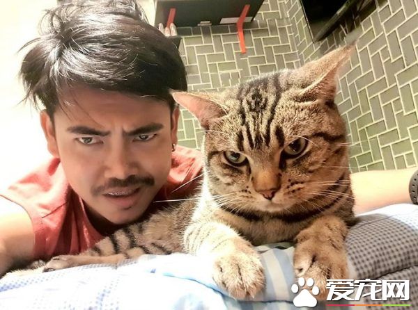好奇貓主子晚上在干嘛 意外拍下主子對他濃烈愛意