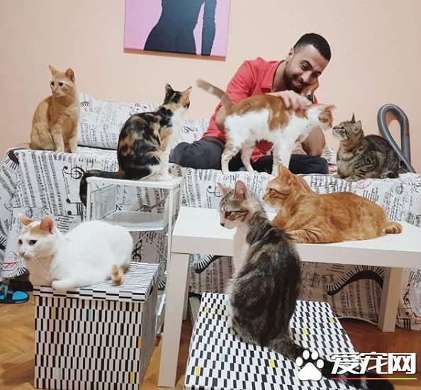 全盲貓咪聽見琴音超喜歡 愛貓鋼琴家又多位忠實聽眾