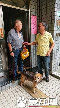 老人與狗 高齡老人不舍送高齡狗動保處