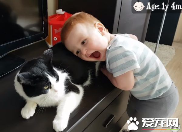 親貓狂 人類弟弟超愛他的貓哥哥