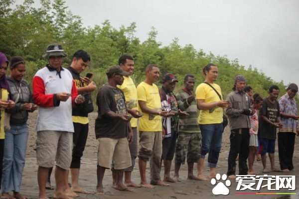 香港海關破獲走私豬鼻龜 在各界人士和政府努力下已遣送回返