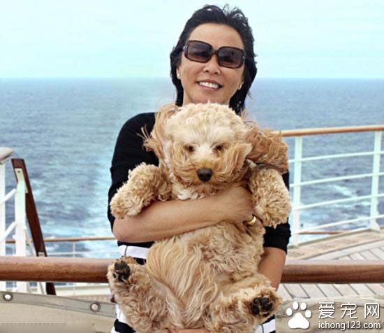 狗主人攜寵物狗環球旅游 是一名出色的旅友