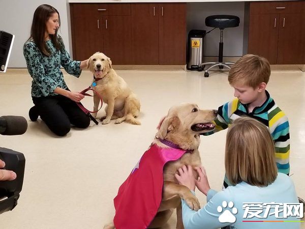 割腎救母！罕見手術獲得成功 不幸因藥物反應過世