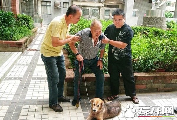 老人與狗 高齡老人不舍送高齡狗動保處