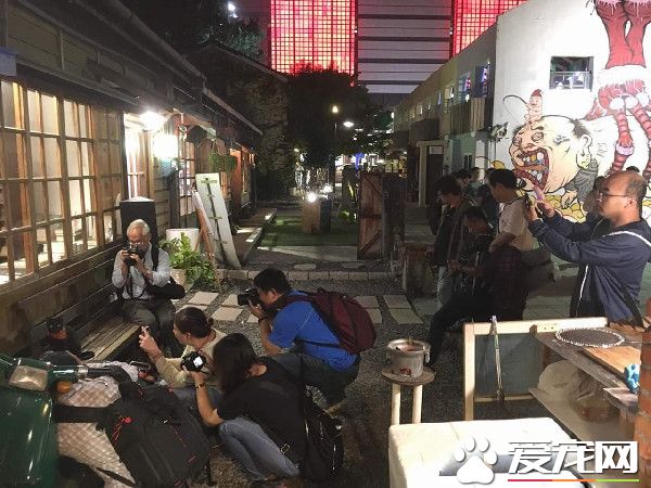 外出寄件有問題問貓 店家外出留貓解決顧客的問題