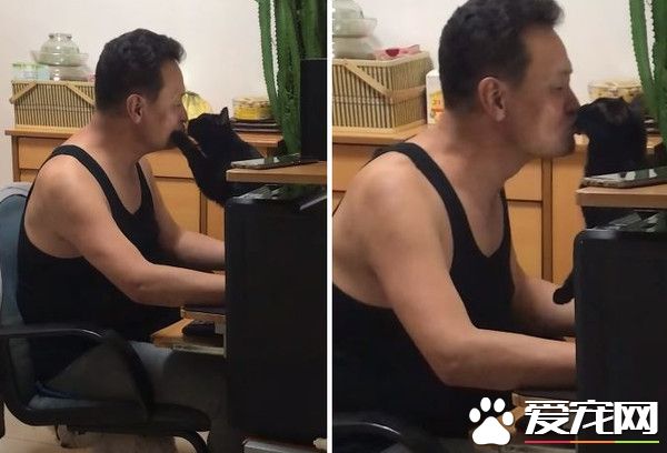 千萬別小看毛孩子的魔力！說不養貓的爸爸成忠實貓奴