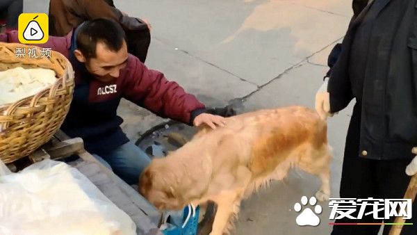 超級暖男阿金 主動幫行動不便的把拔提籃子買菜