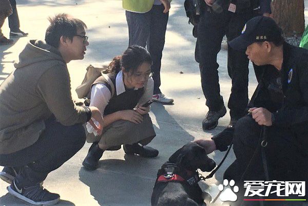 臺中花博開幕有警犬與騎警進駐維安 成特殊亮點