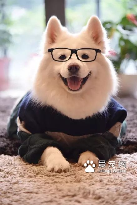 一對可愛的“兄妹”