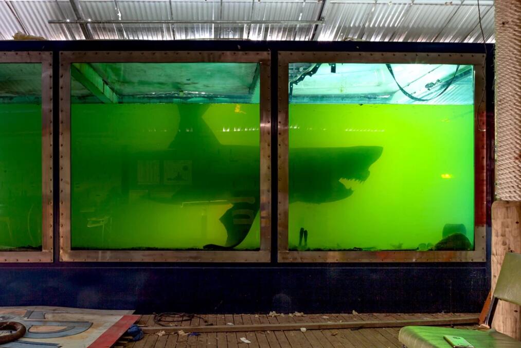 墨爾本廢棄野生動物園內 一罐甲醛中漂浮著巨型死鯊