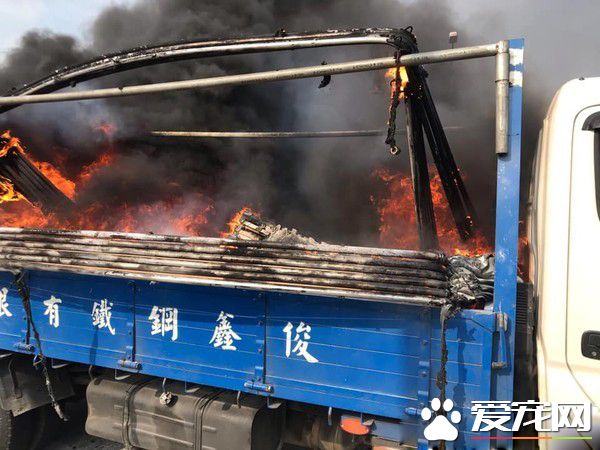 小白遭受火燒四肢灼傷 日前出院超開心蹦跳