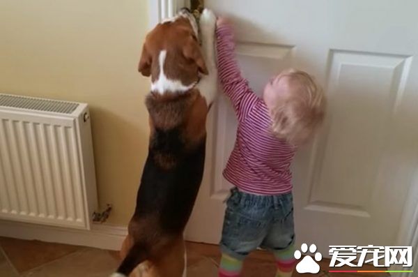 小主人推不開門怎么辦 汪幫忙破解這個任務