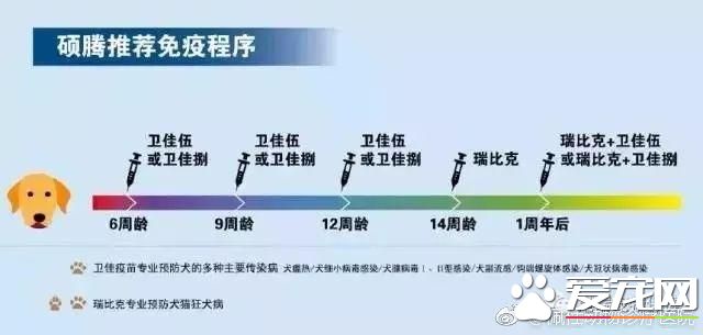 疫苗廠家培訓實錄：原來我們知道的疫苗知識很多都是錯的（狗）